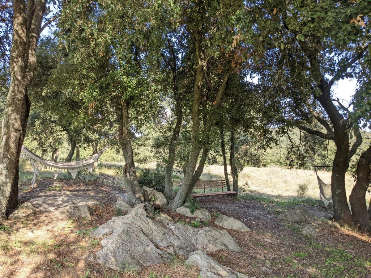فندق Mas Oms Montnegre المظهر الخارجي الصورة